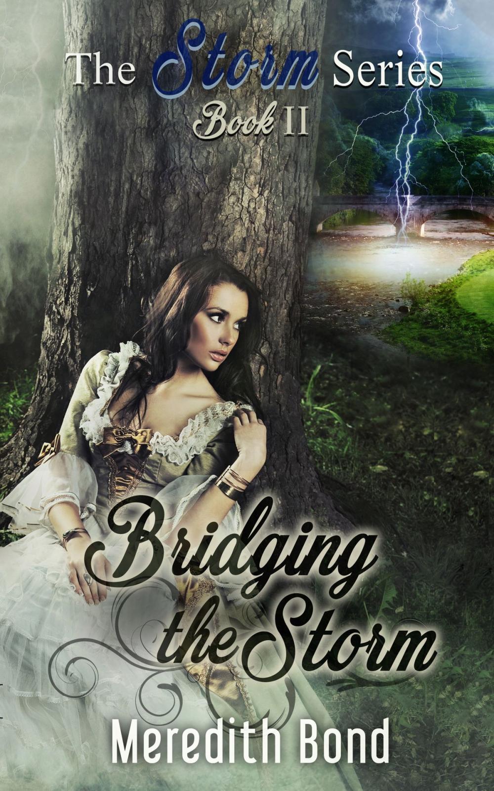 Big bigCover of Bridging the Storm