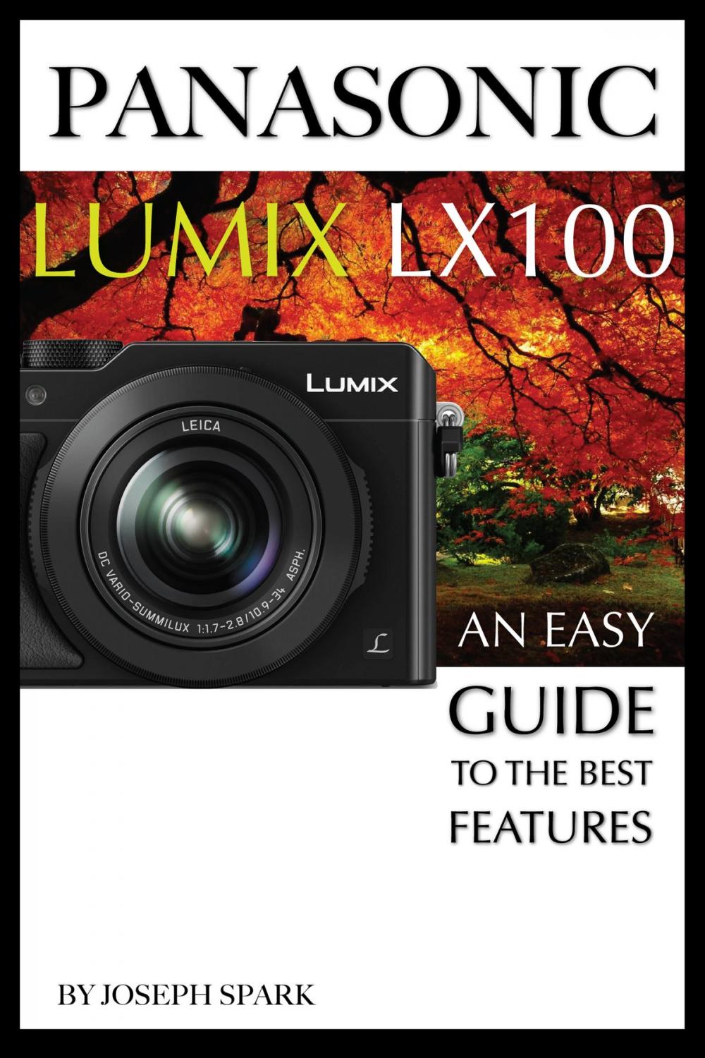 Big bigCover of Panasonic Lumix LX100: An Easy Guide to the Best Features