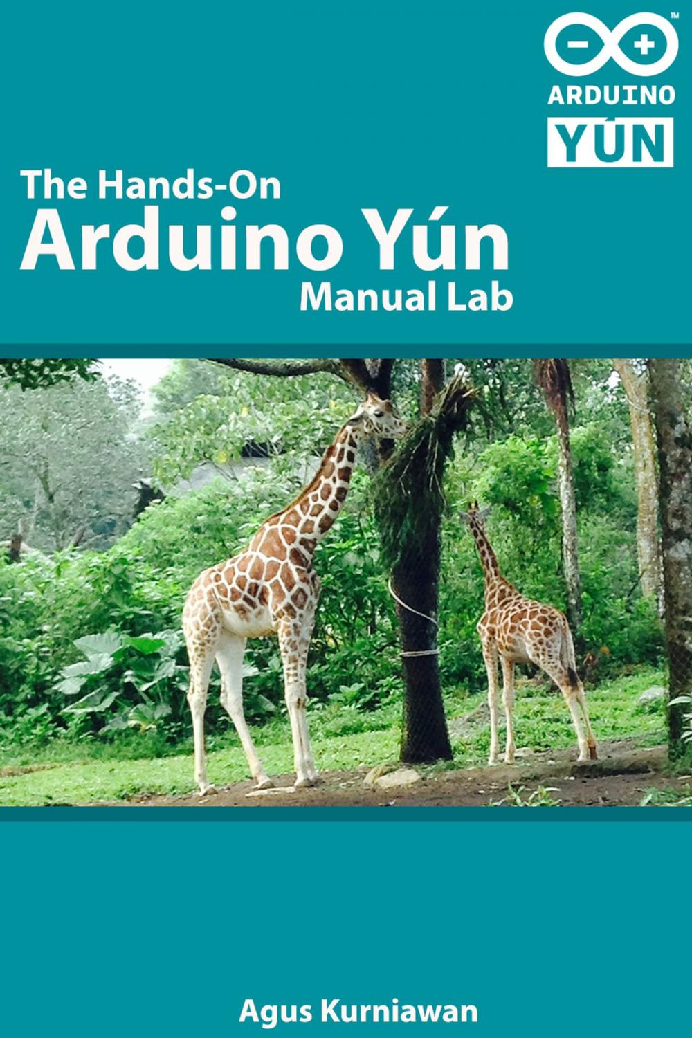 Big bigCover of The Hands-on Arduino Yún Manual Lab