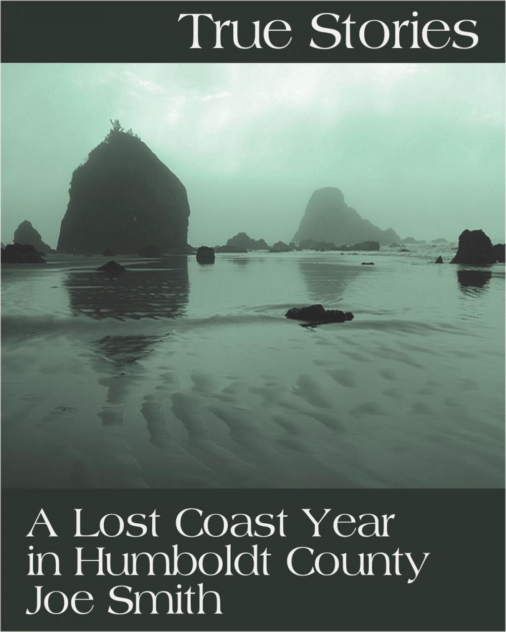 Big bigCover of True Stories: A Lost Coast Year in Humboldt County