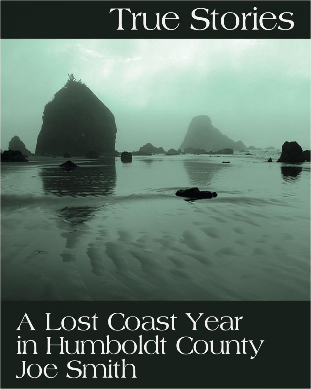 Big bigCover of True Stories: A Lost Coast Year in Humboldt County