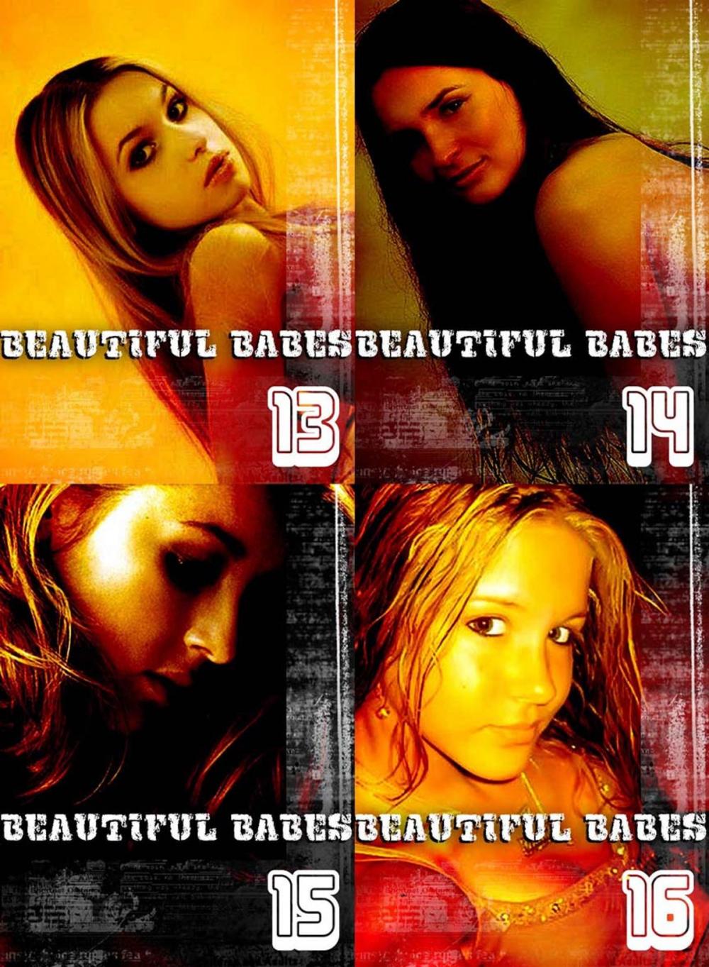 Big bigCover of Beautiful Babes Collected Edition 4- 4 sexy photo books in one