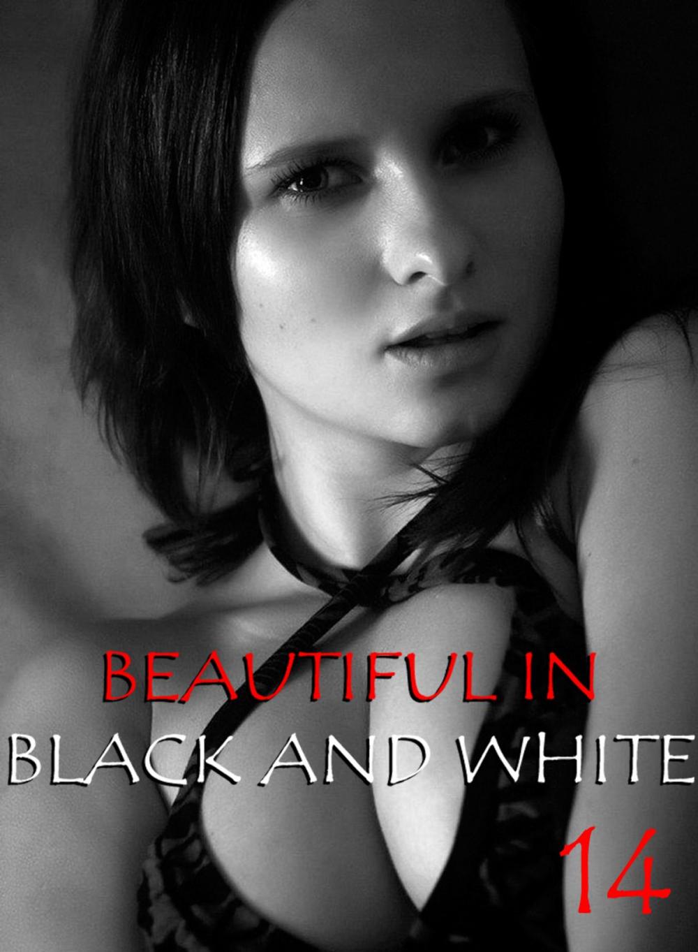 Big bigCover of Beautiful in Black and White Volume 14 - An erotic photo book