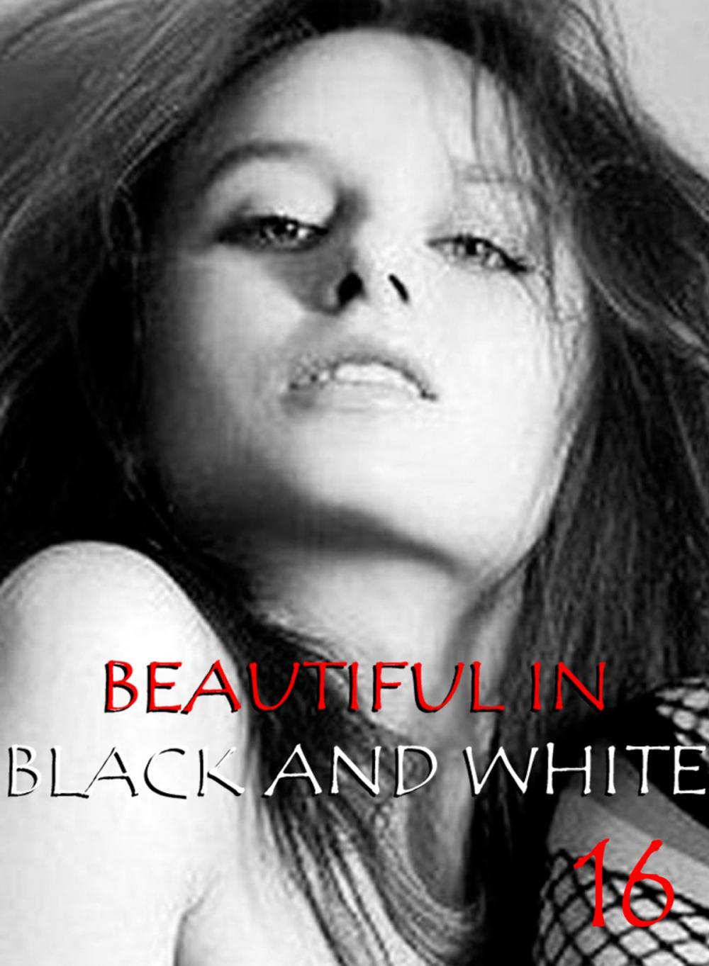 Big bigCover of Beautiful in Black and White Volume 16 - An erotic photo book