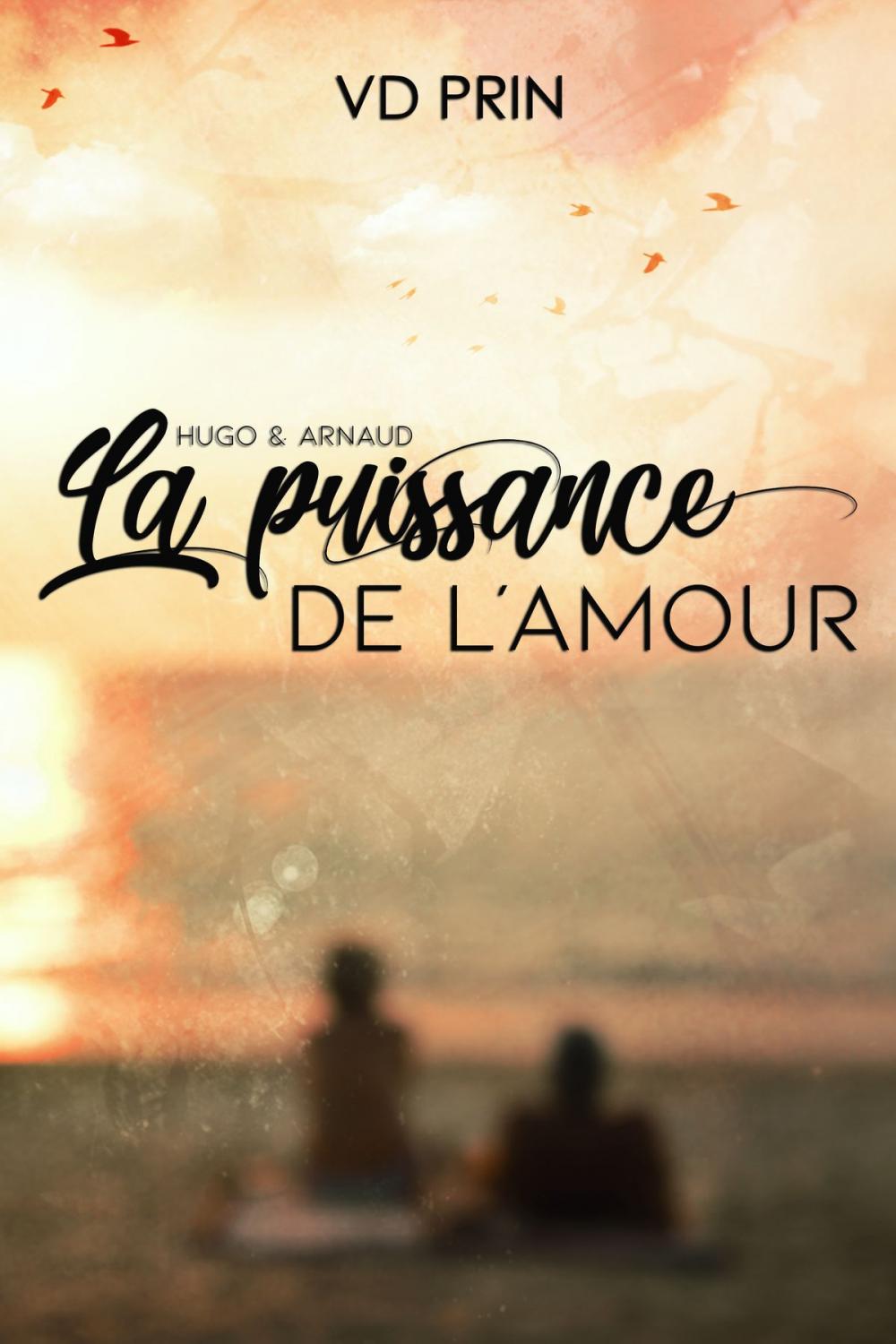 Big bigCover of HUGO & ARNAUD : la puissance de l'amour