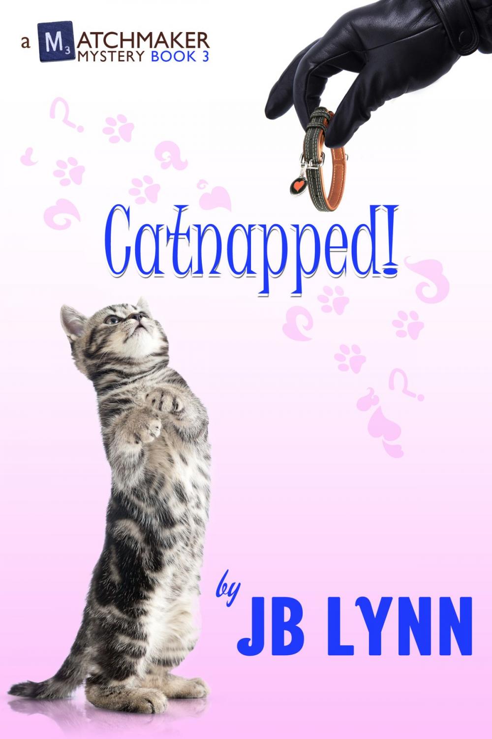 Big bigCover of Catnapped!