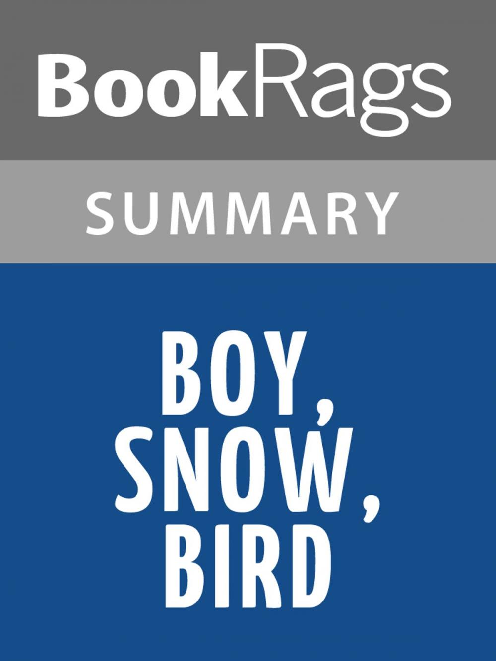 Big bigCover of Boy, Snow, Bird by Helen Oyeyemi l Summary & Study Guide