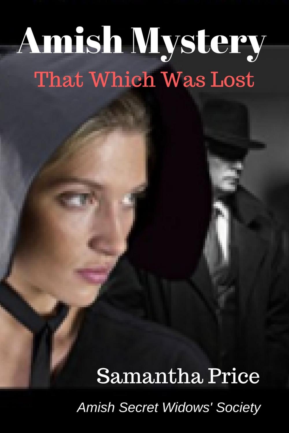 Big bigCover of Amish Mystery: That Which Was Lost