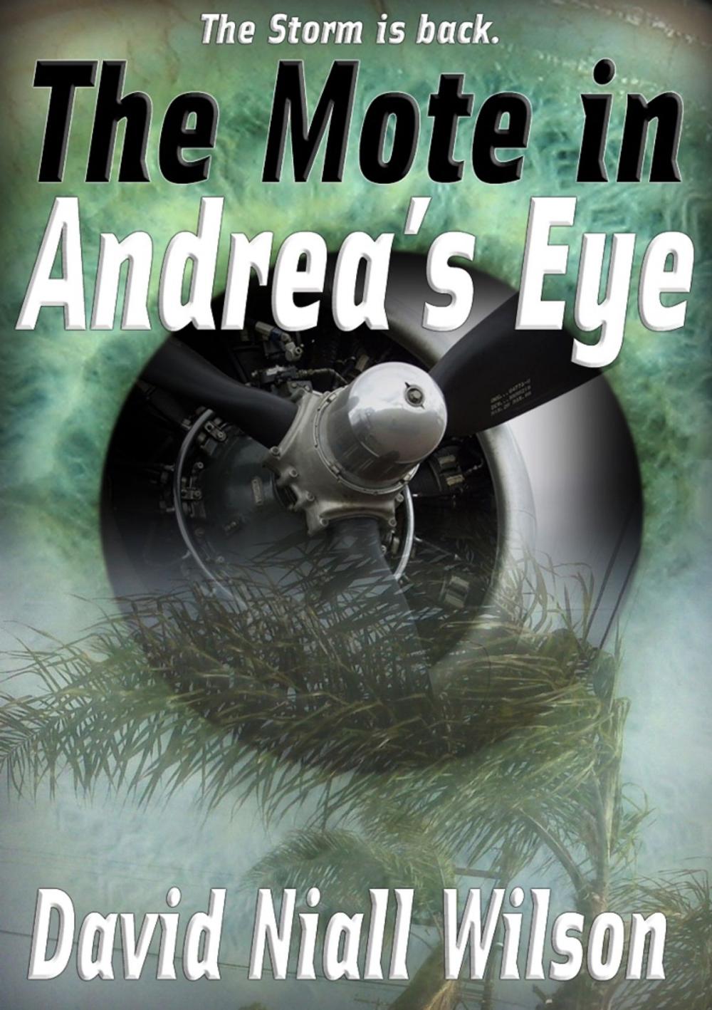 Big bigCover of The Mote in Andrea's Eye