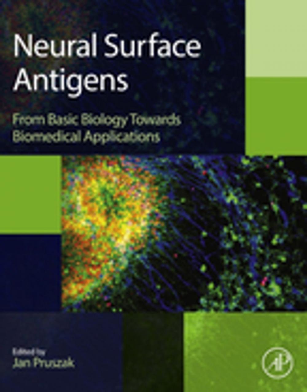 Big bigCover of Neural Surface Antigens