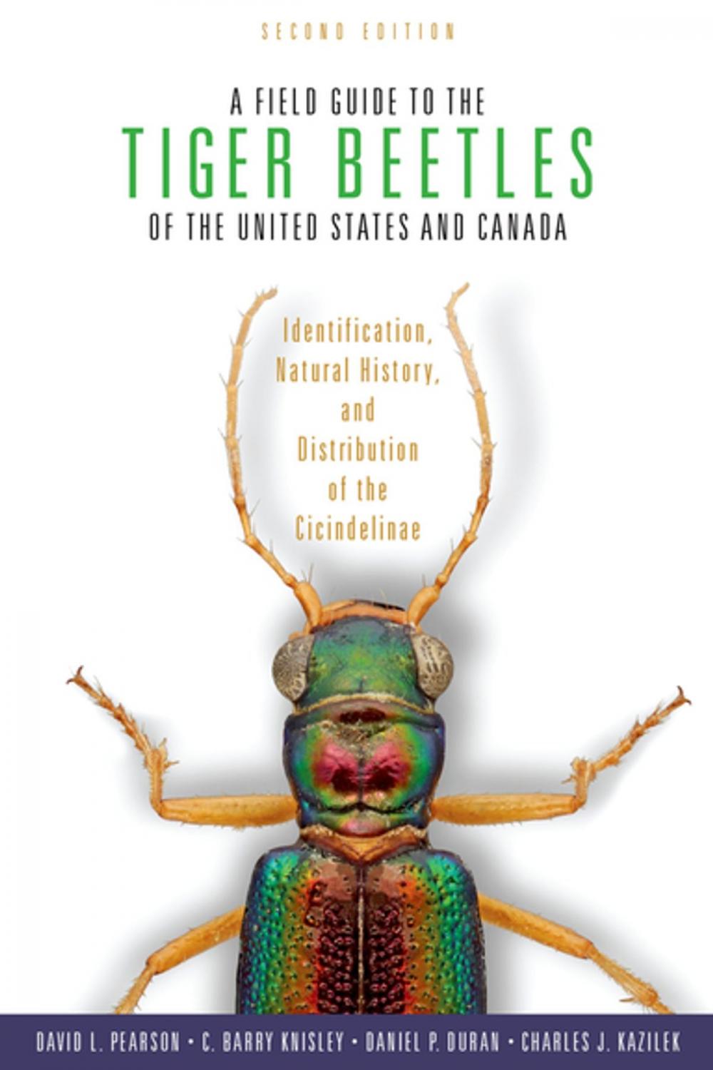 Big bigCover of A Field Guide to the Tiger Beetles of the United States and Canada