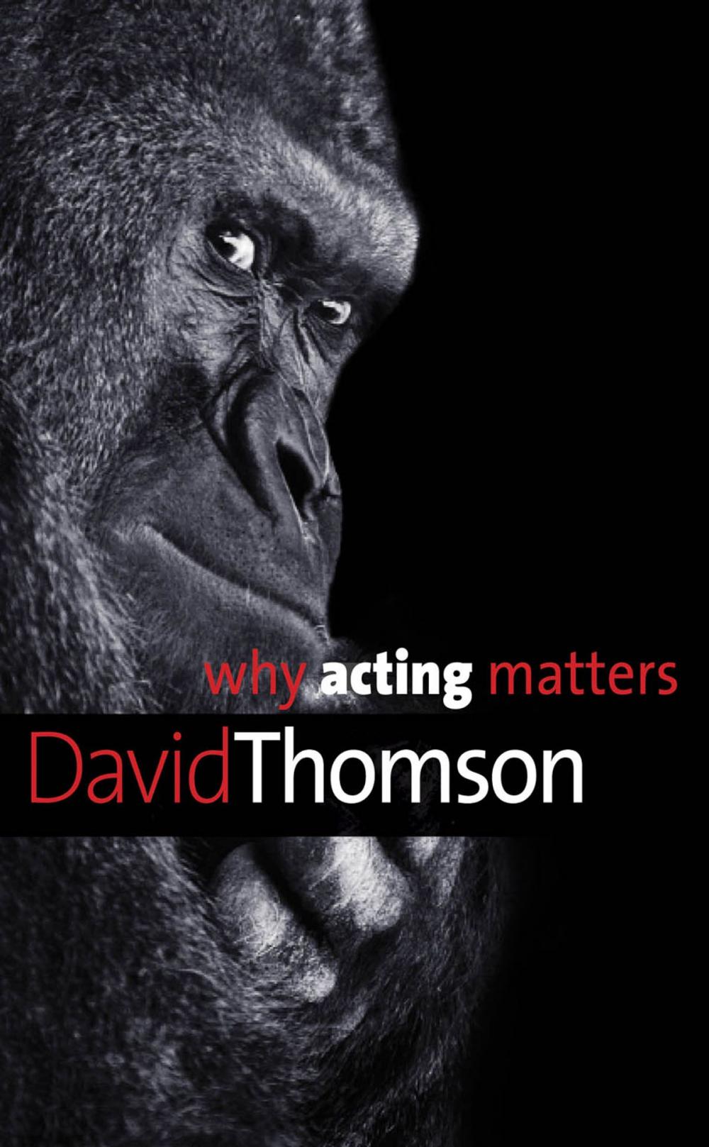 Big bigCover of Why Acting Matters