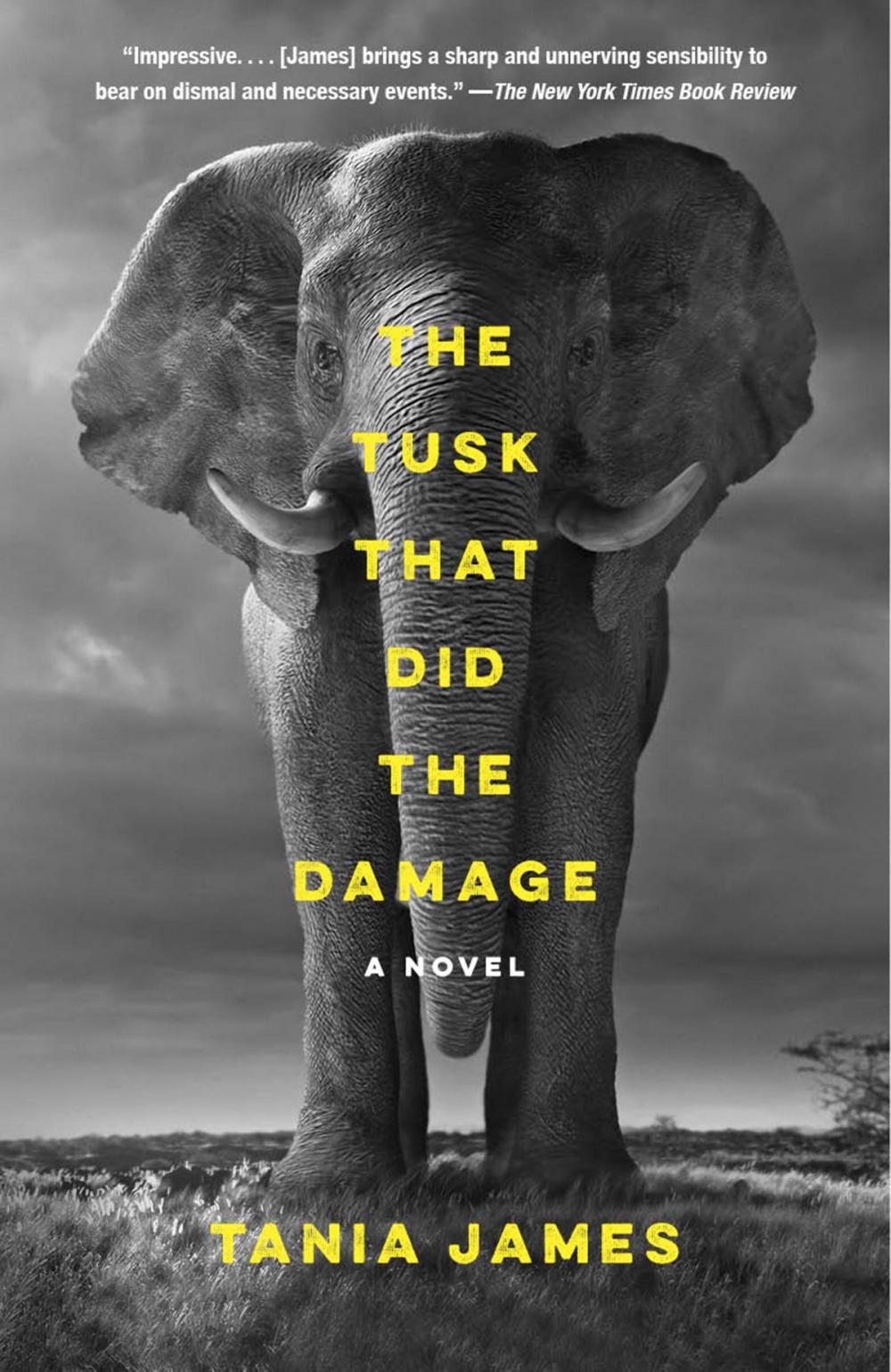 Big bigCover of The Tusk That Did the Damage