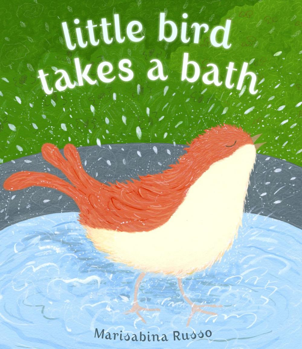 Big bigCover of Little Bird Takes a Bath
