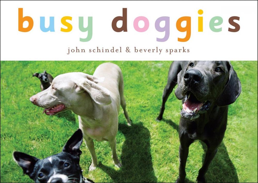 Big bigCover of Busy Doggies