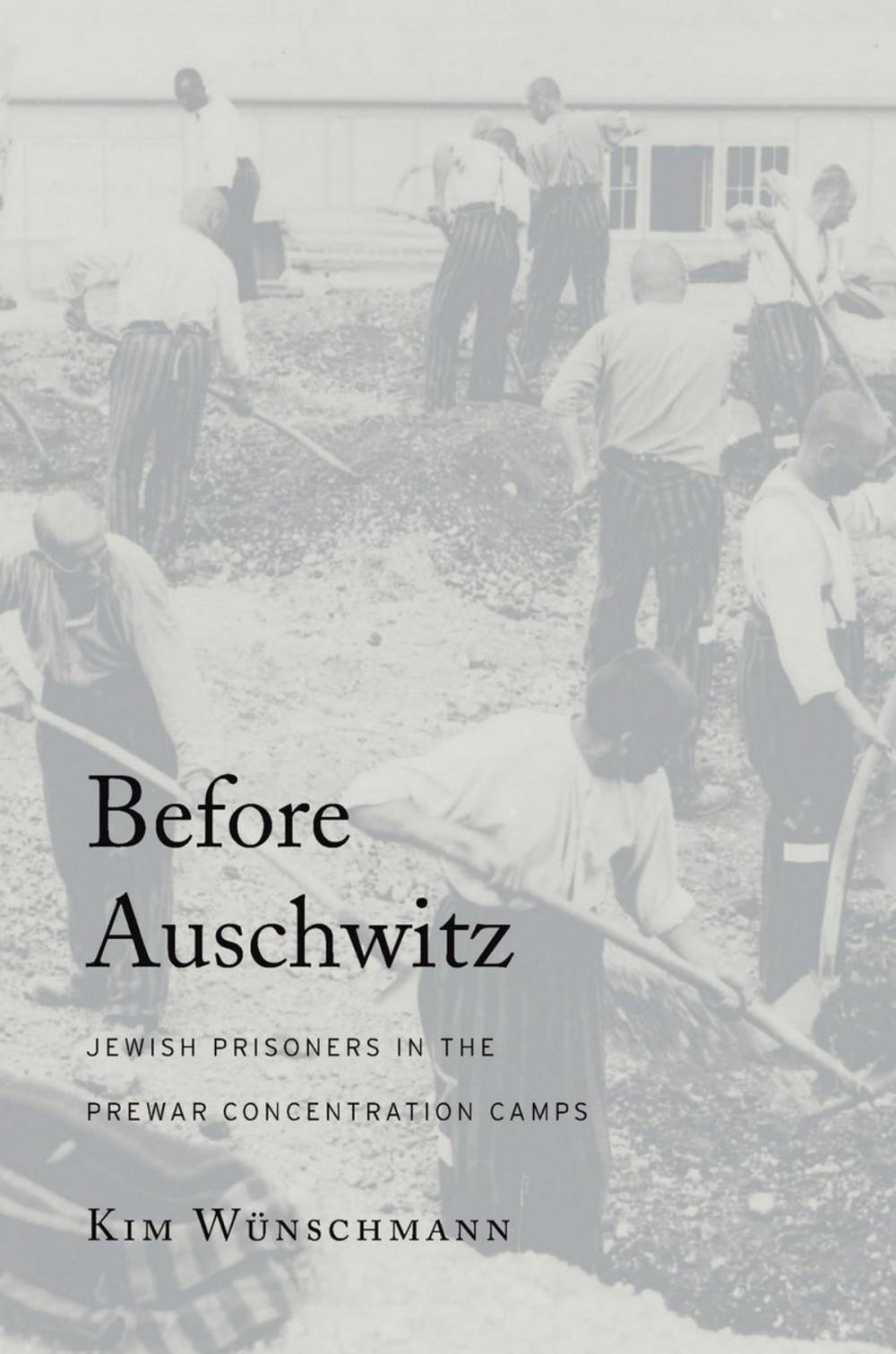 Big bigCover of Before Auschwitz