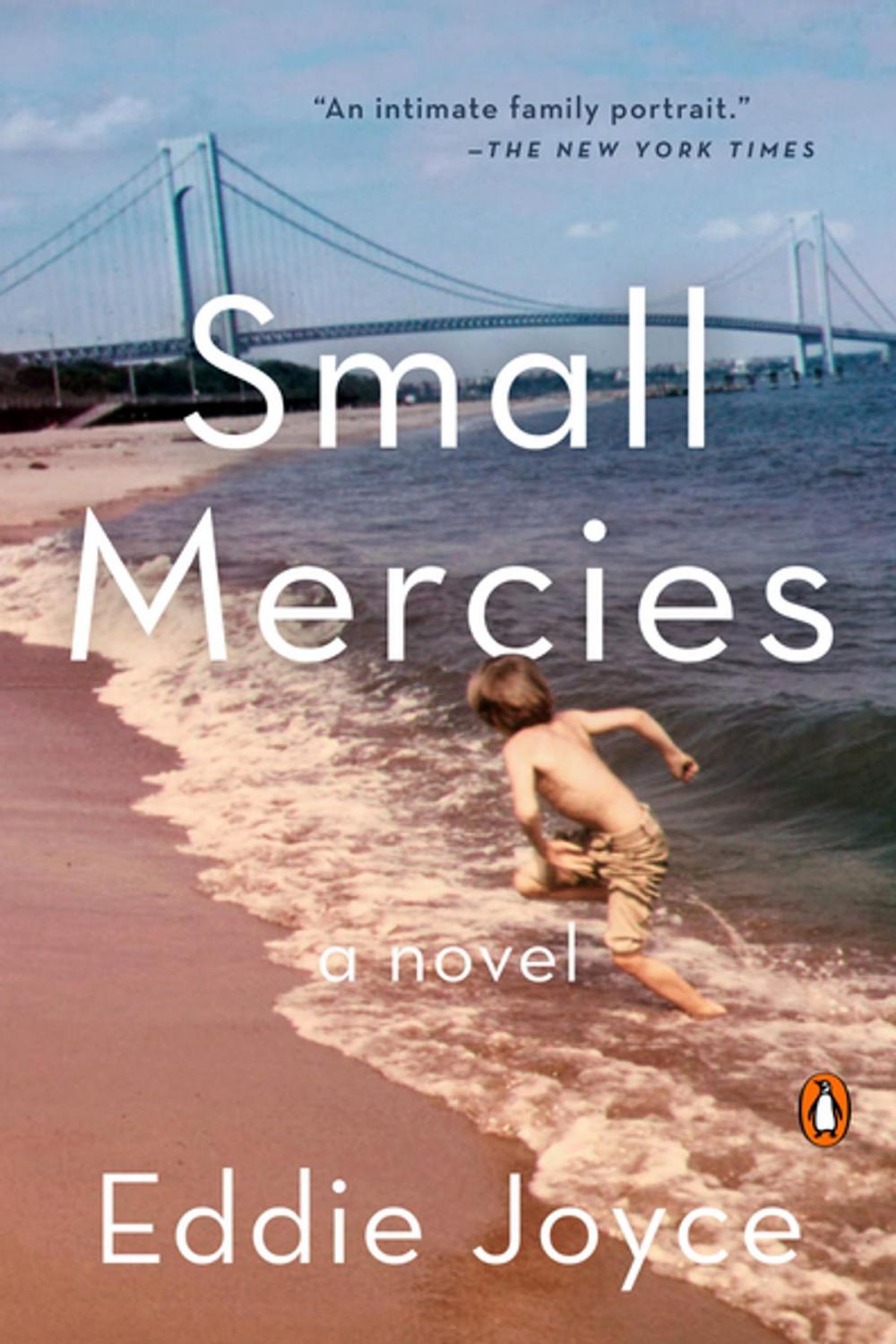 Big bigCover of Small Mercies