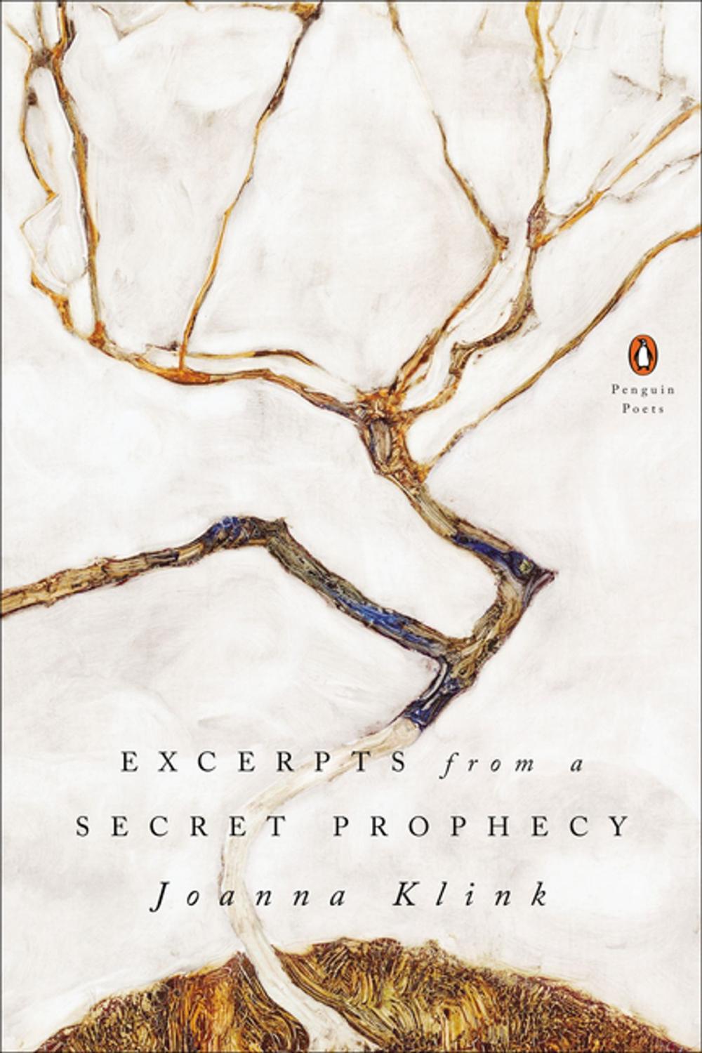 Big bigCover of Excerpts from a Secret Prophecy