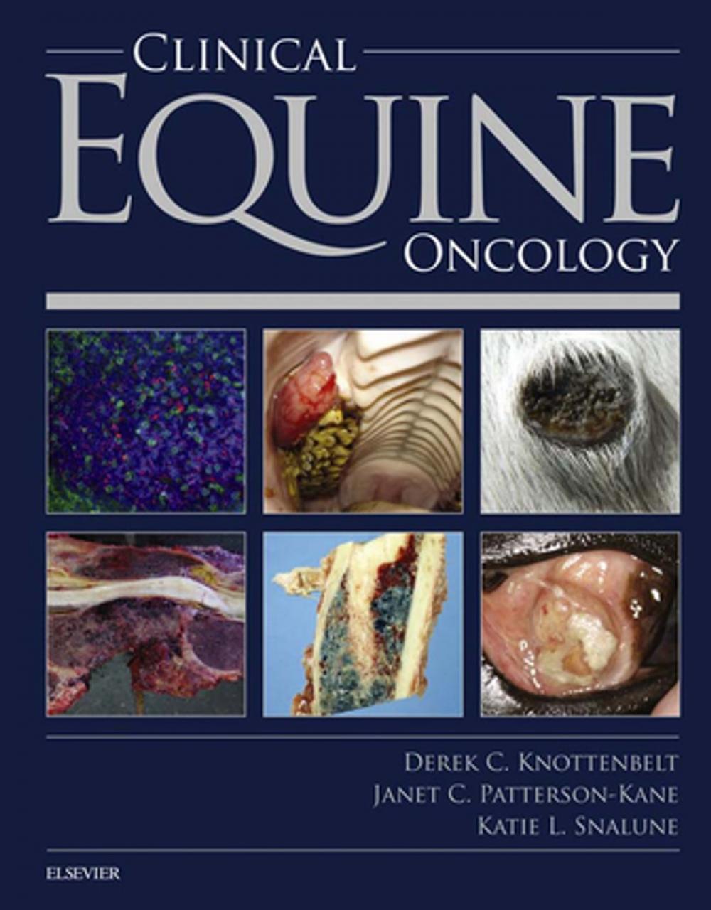Big bigCover of Clinical Equine Oncology E-Book