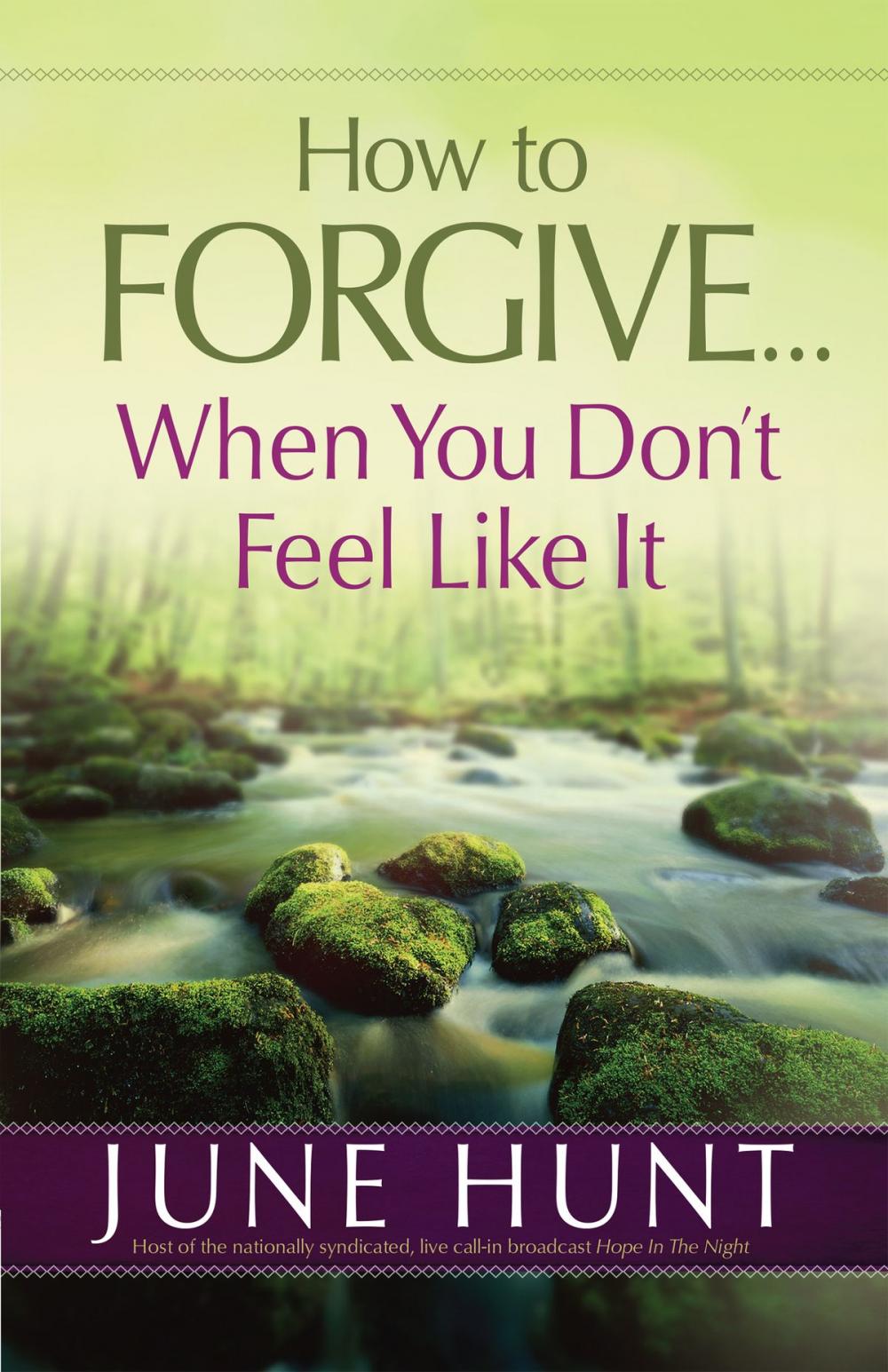 Big bigCover of How to Forgive...When You Don't Feel Like It