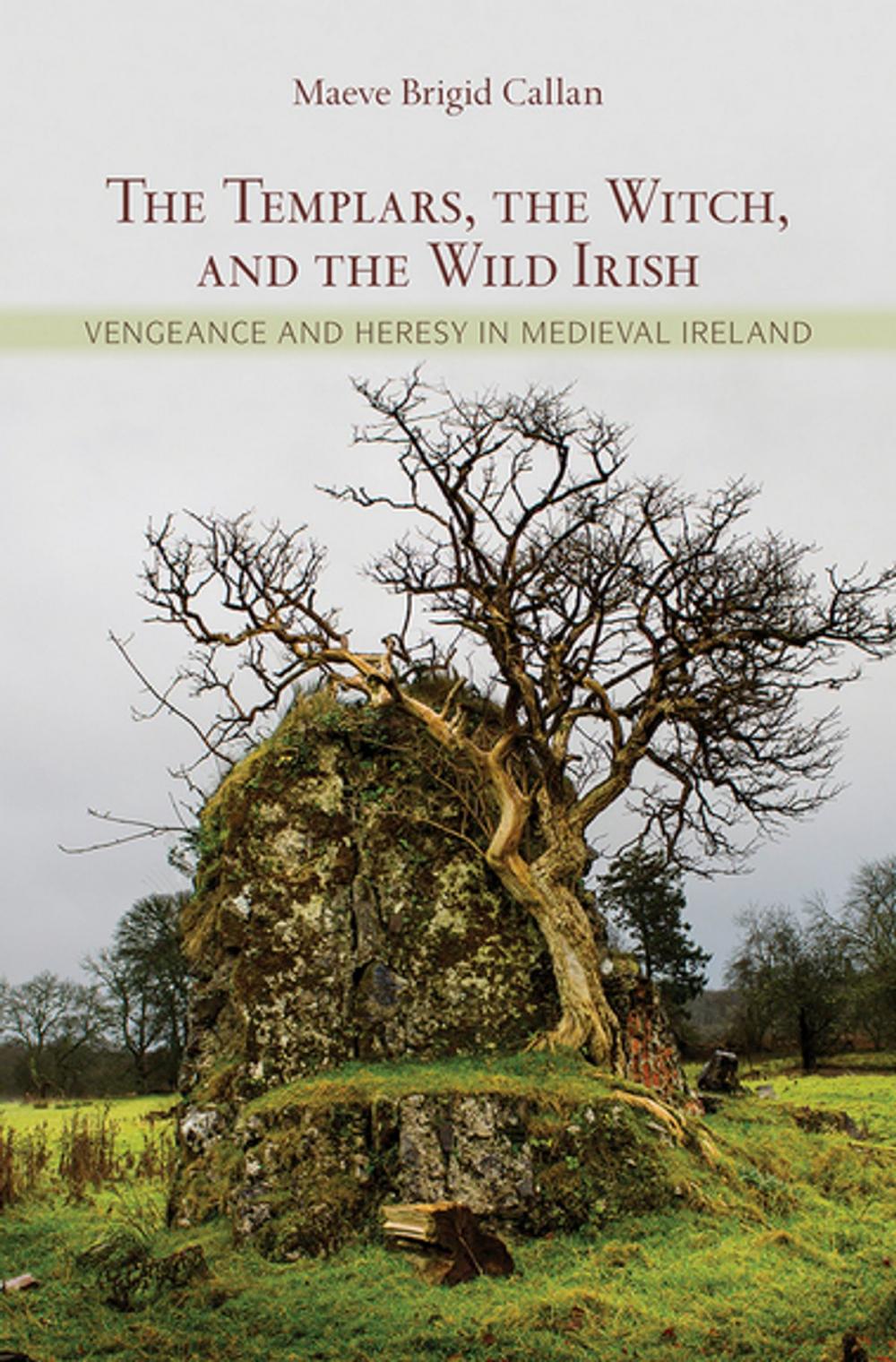 Big bigCover of The Templars, the Witch, and the Wild Irish