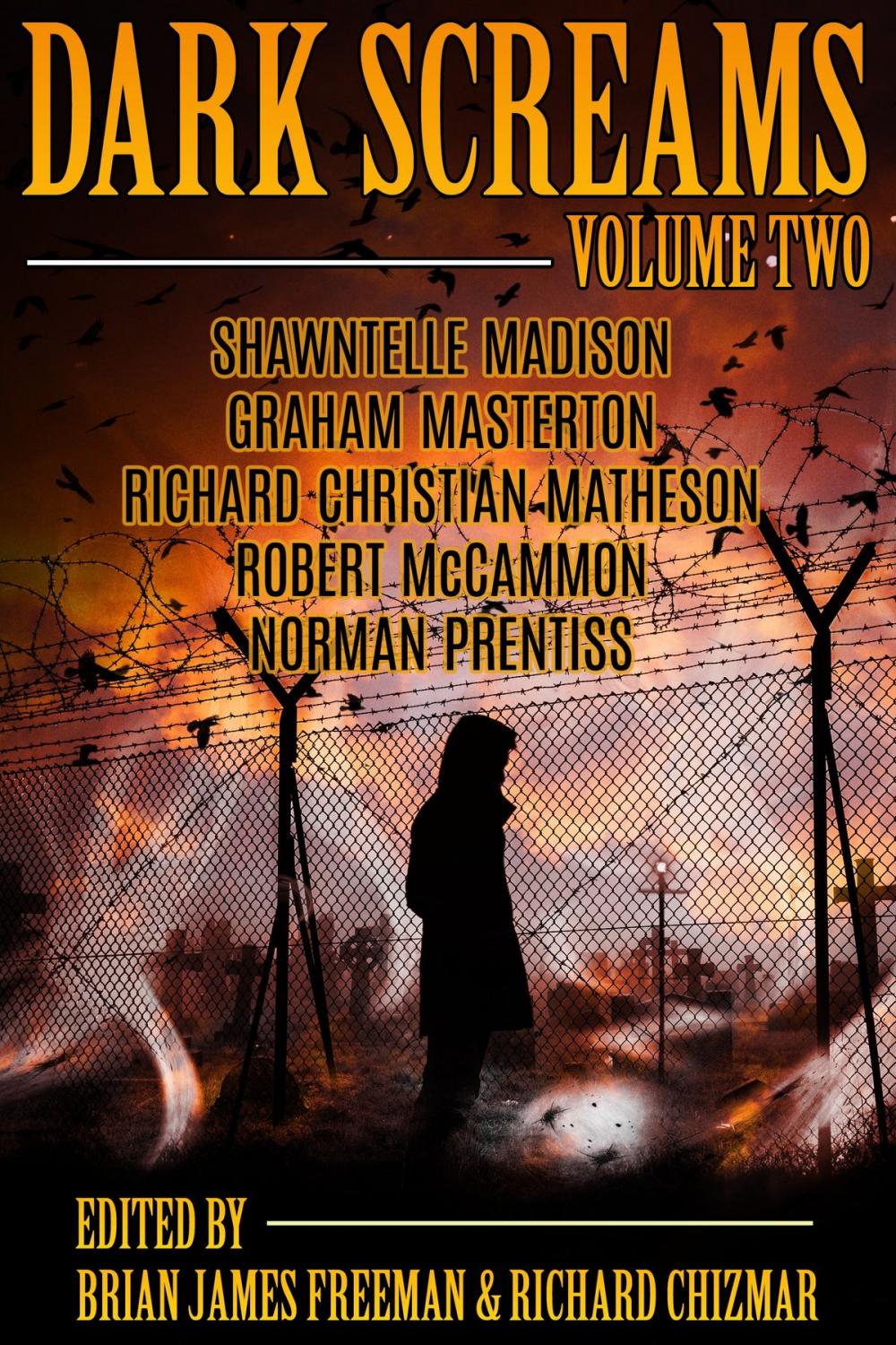 Big bigCover of Dark Screams: Volume Two