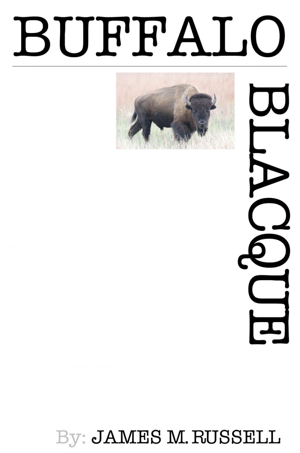 Big bigCover of Buffalo Blacque