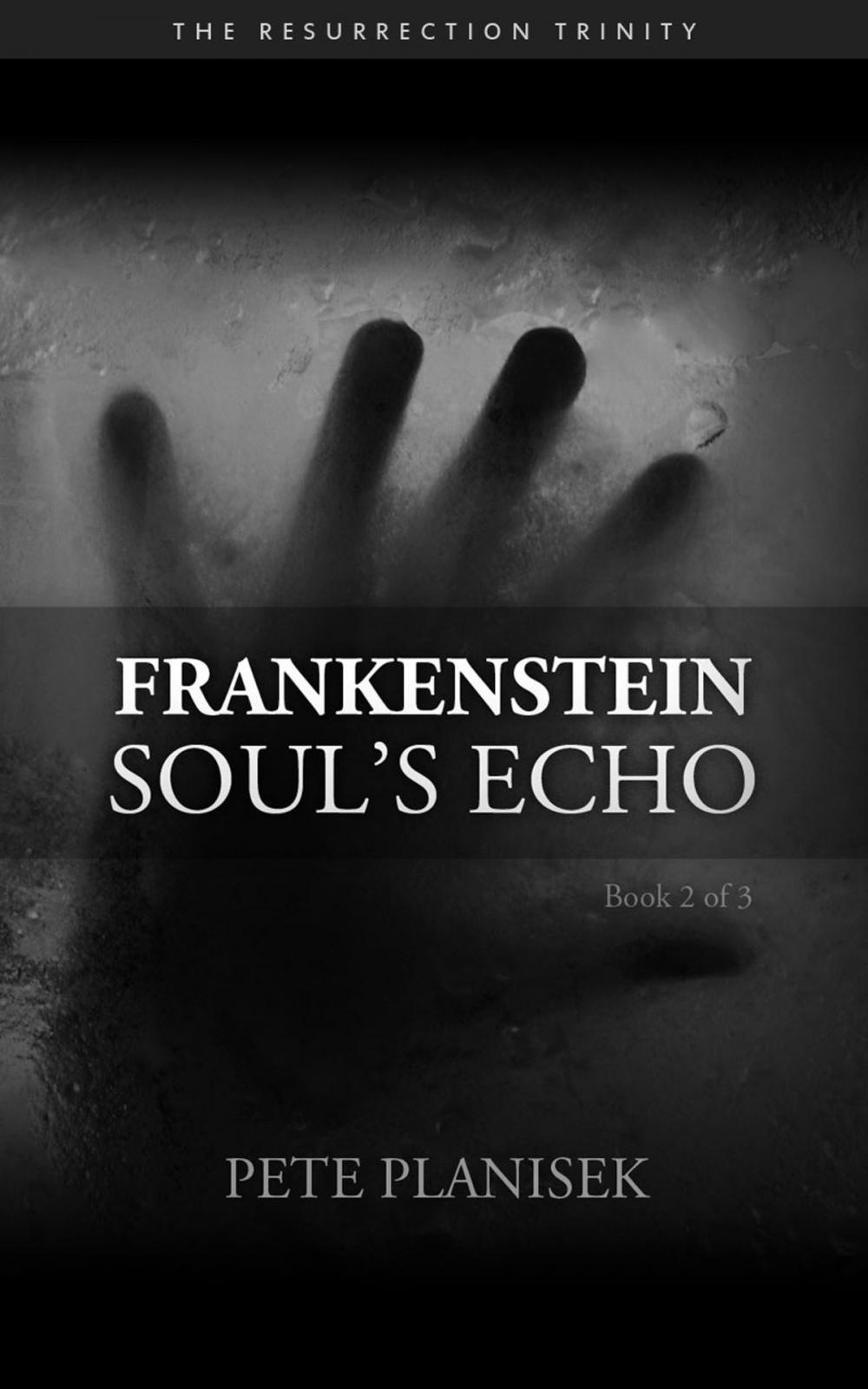 Big bigCover of Frankenstein Soul's Echo
