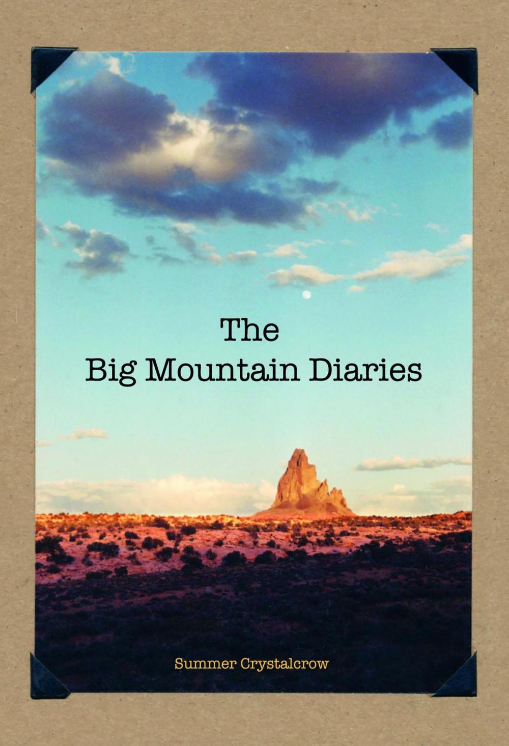 Big bigCover of The Big Mountain Diaries