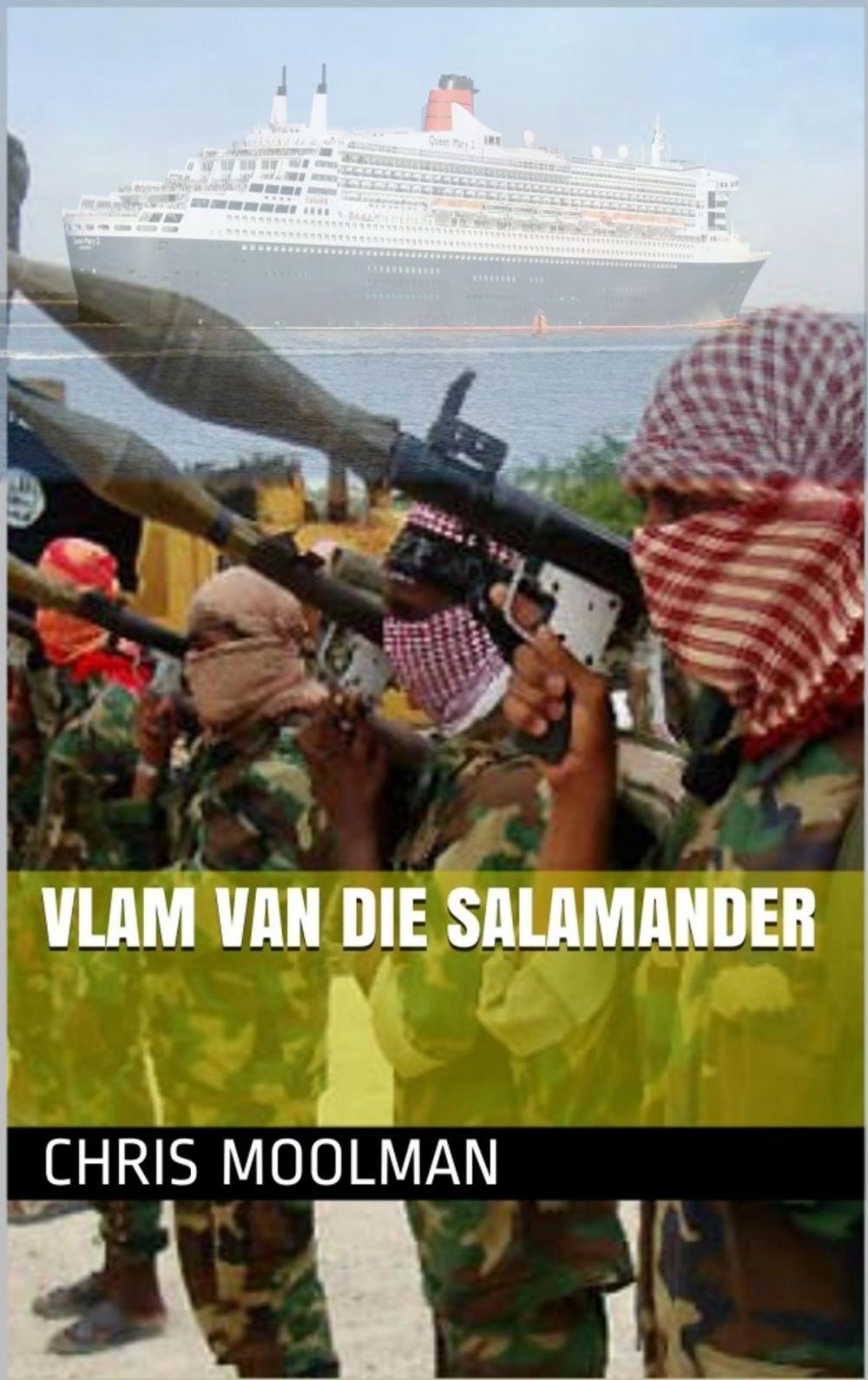 Big bigCover of Vlam van die Salamander