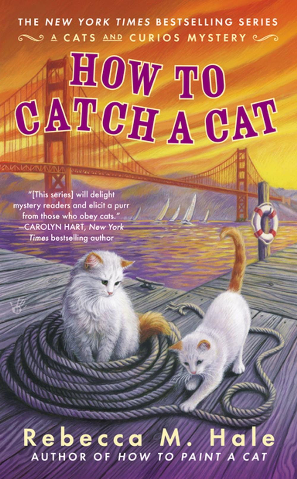 Big bigCover of How to Catch a Cat