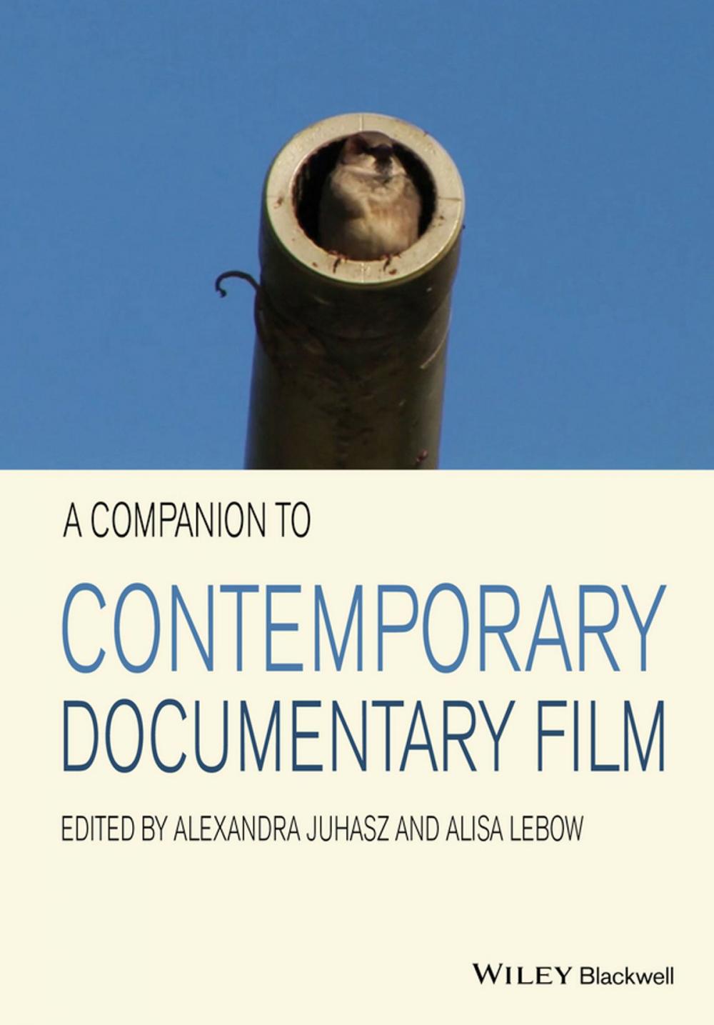 Big bigCover of A Companion to Contemporary Documentary Film