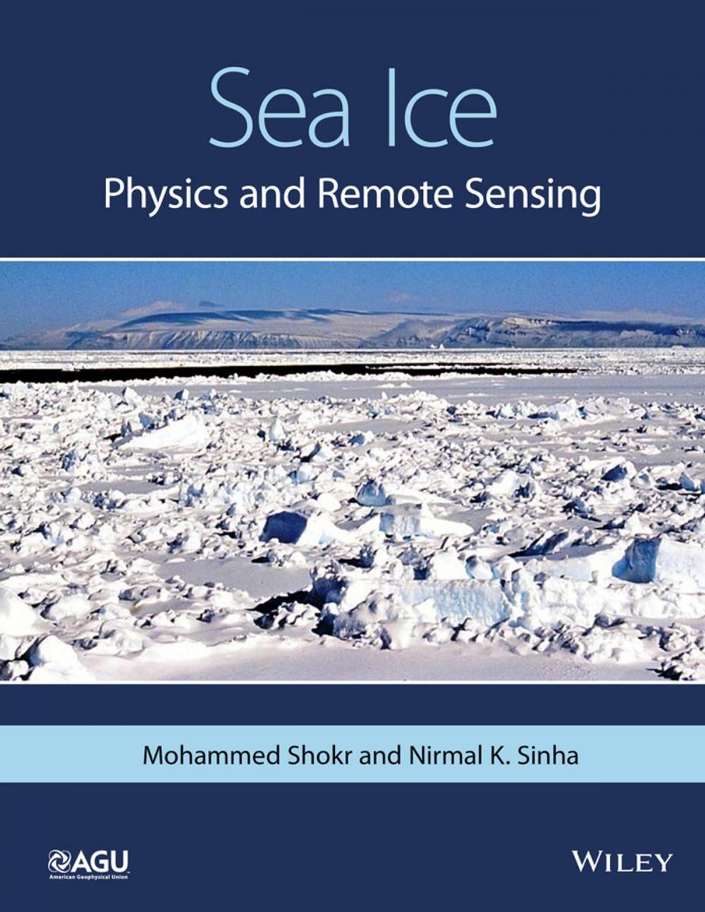 Big bigCover of Sea Ice