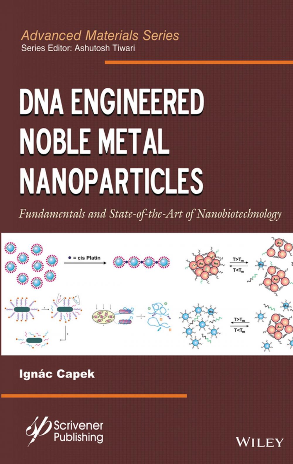 Big bigCover of DNA Engineered Noble Metal Nanoparticles