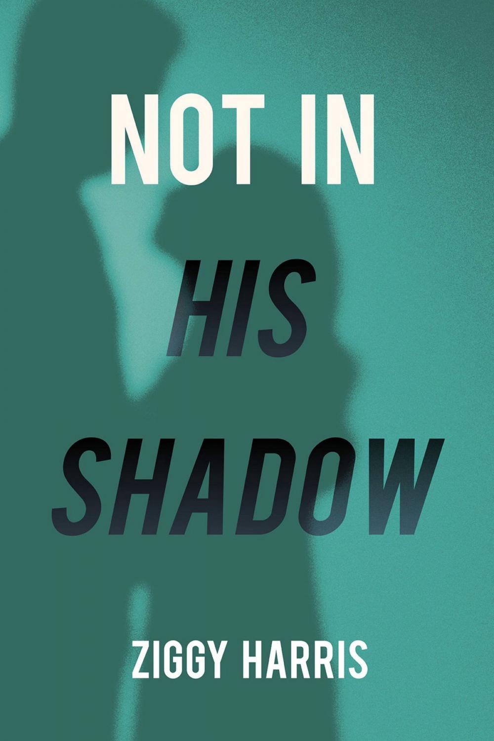 Big bigCover of Not In His Shadow