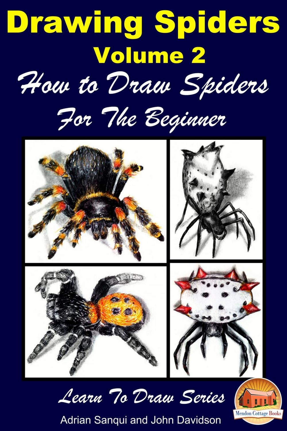 Big bigCover of Drawing Spiders Volume 2: How to Draw Spiders For the Beginner