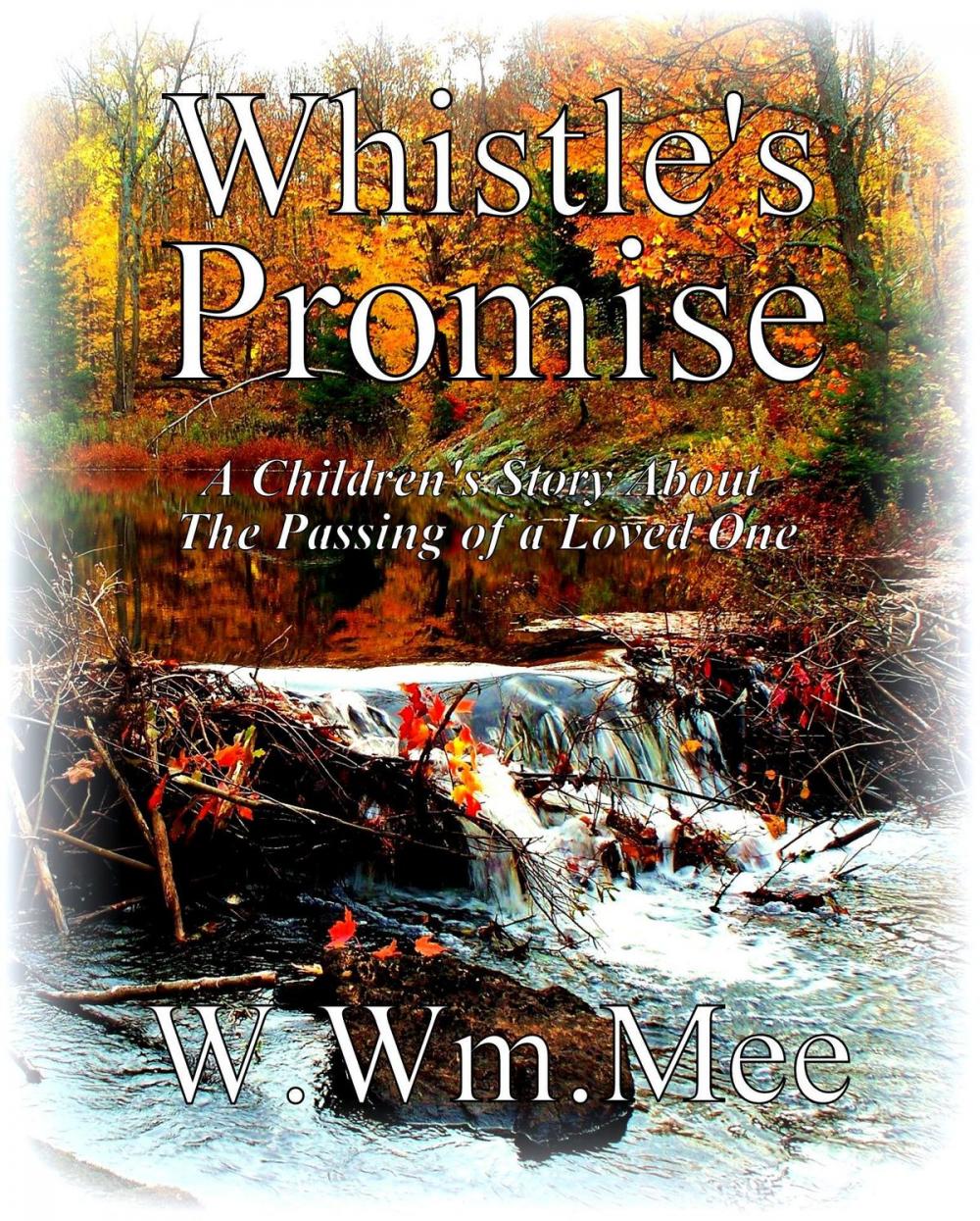 Big bigCover of Wistle's Promise