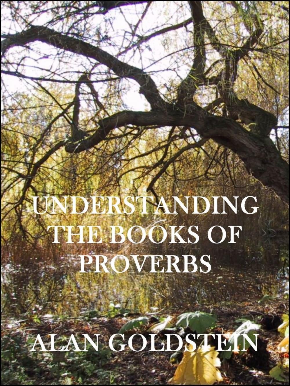 Big bigCover of Understanding the Books of Proverbs