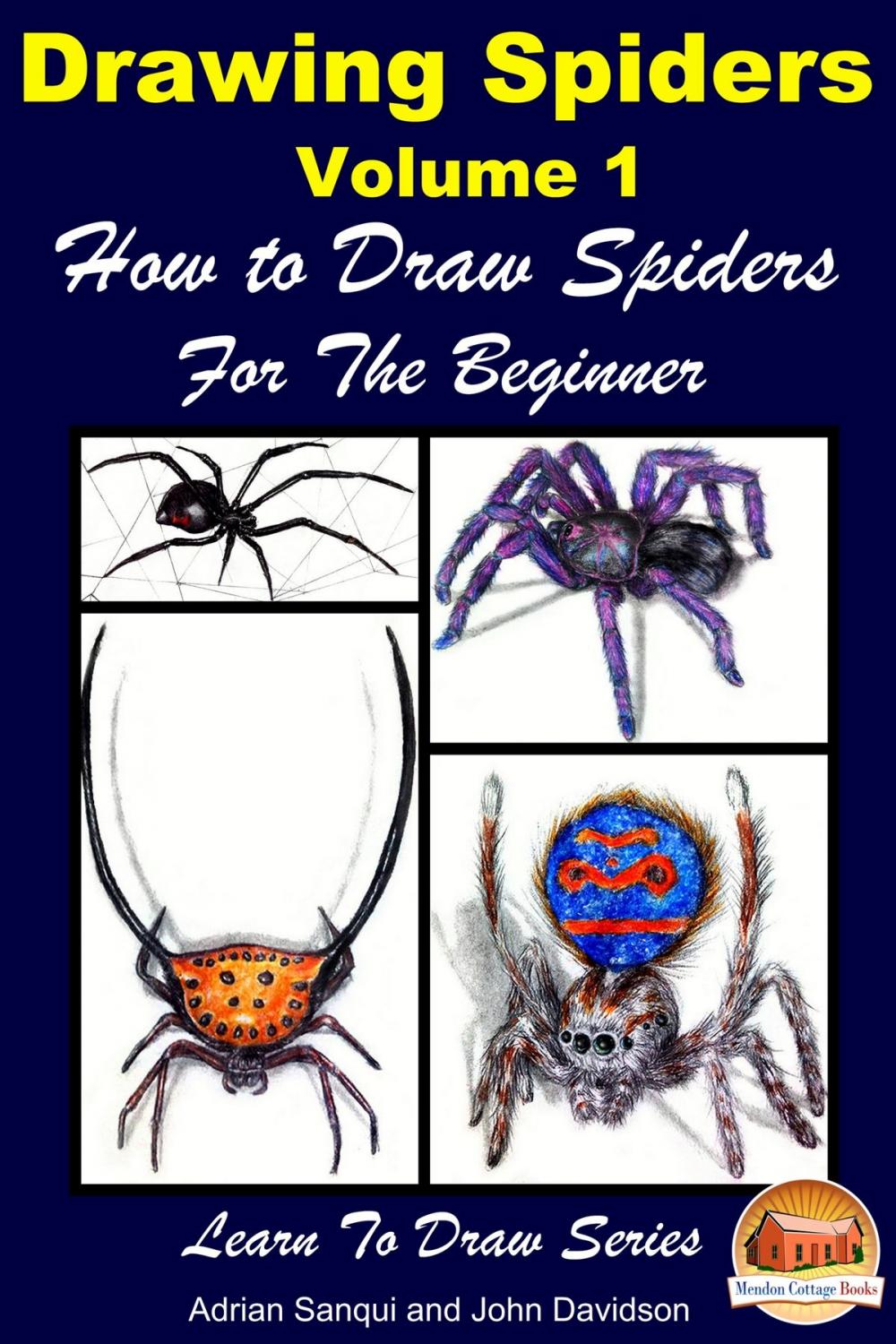 Big bigCover of Drawing Spiders Volume 1: How to Draw Spiders For the Beginner