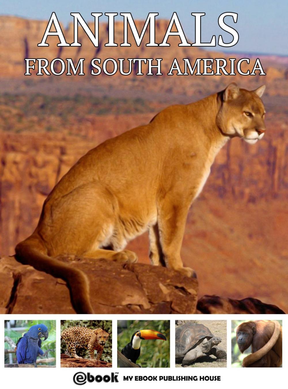 Big bigCover of Animals from South America