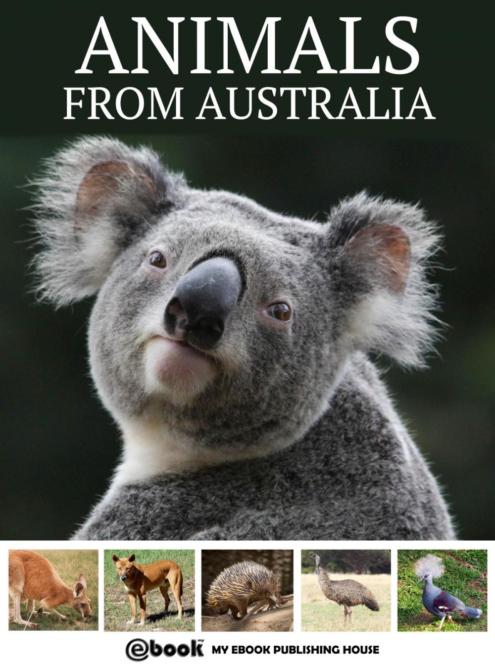 Big bigCover of Animals from Australia