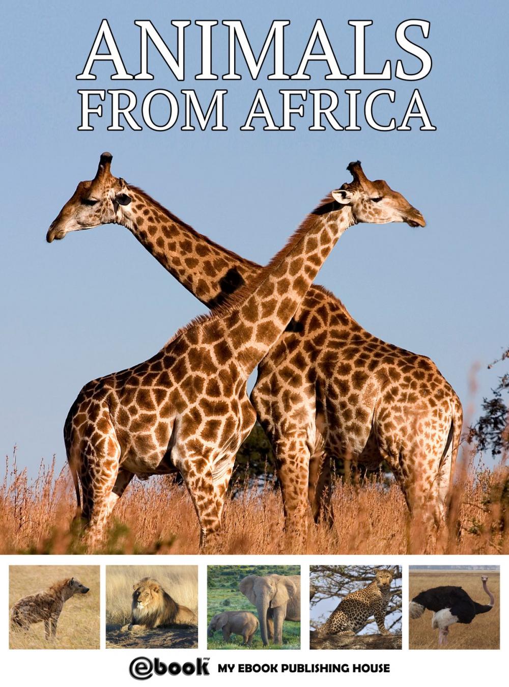 Big bigCover of Animals from Africa