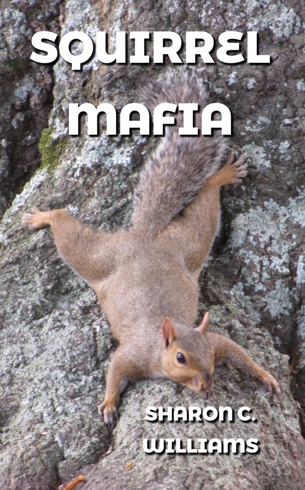 Big bigCover of Squirrel Mafia