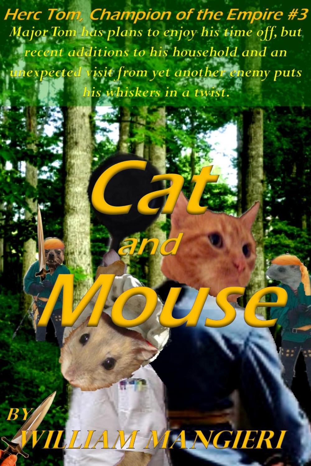 Big bigCover of Cat and Mouse