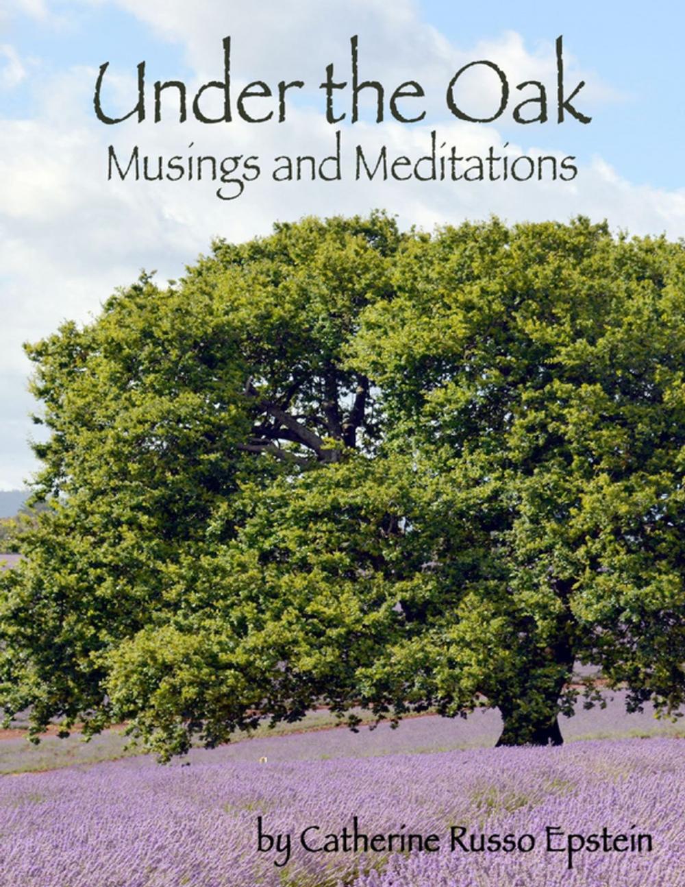 Big bigCover of Under the Oak - Musings and Meditations