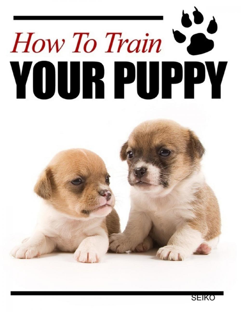 Big bigCover of How to Train Your Puppy