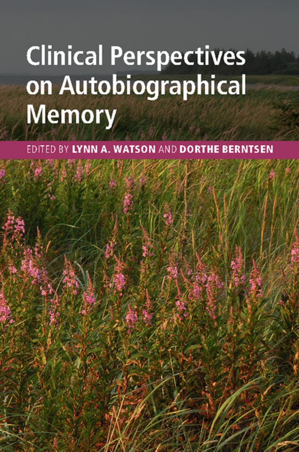 Big bigCover of Clinical Perspectives on Autobiographical Memory