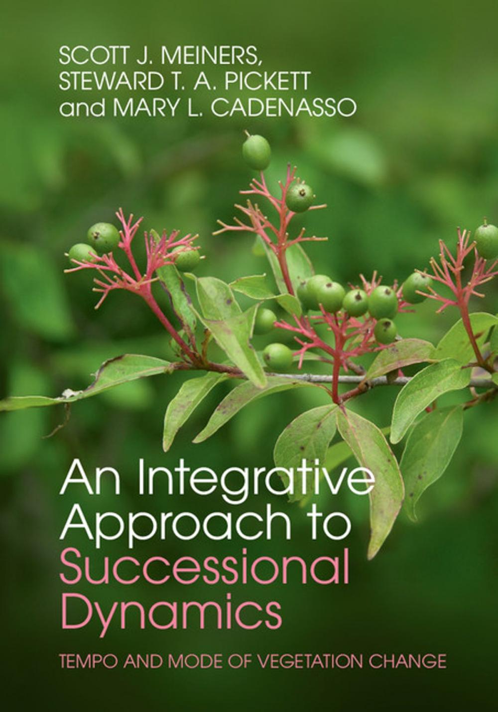 Big bigCover of An Integrative Approach to Successional Dynamics