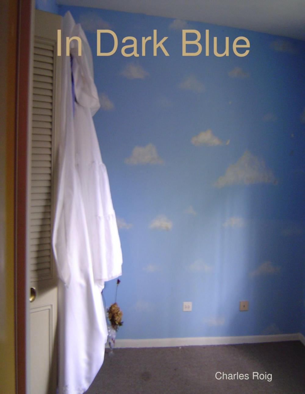 Big bigCover of In Dark Blue