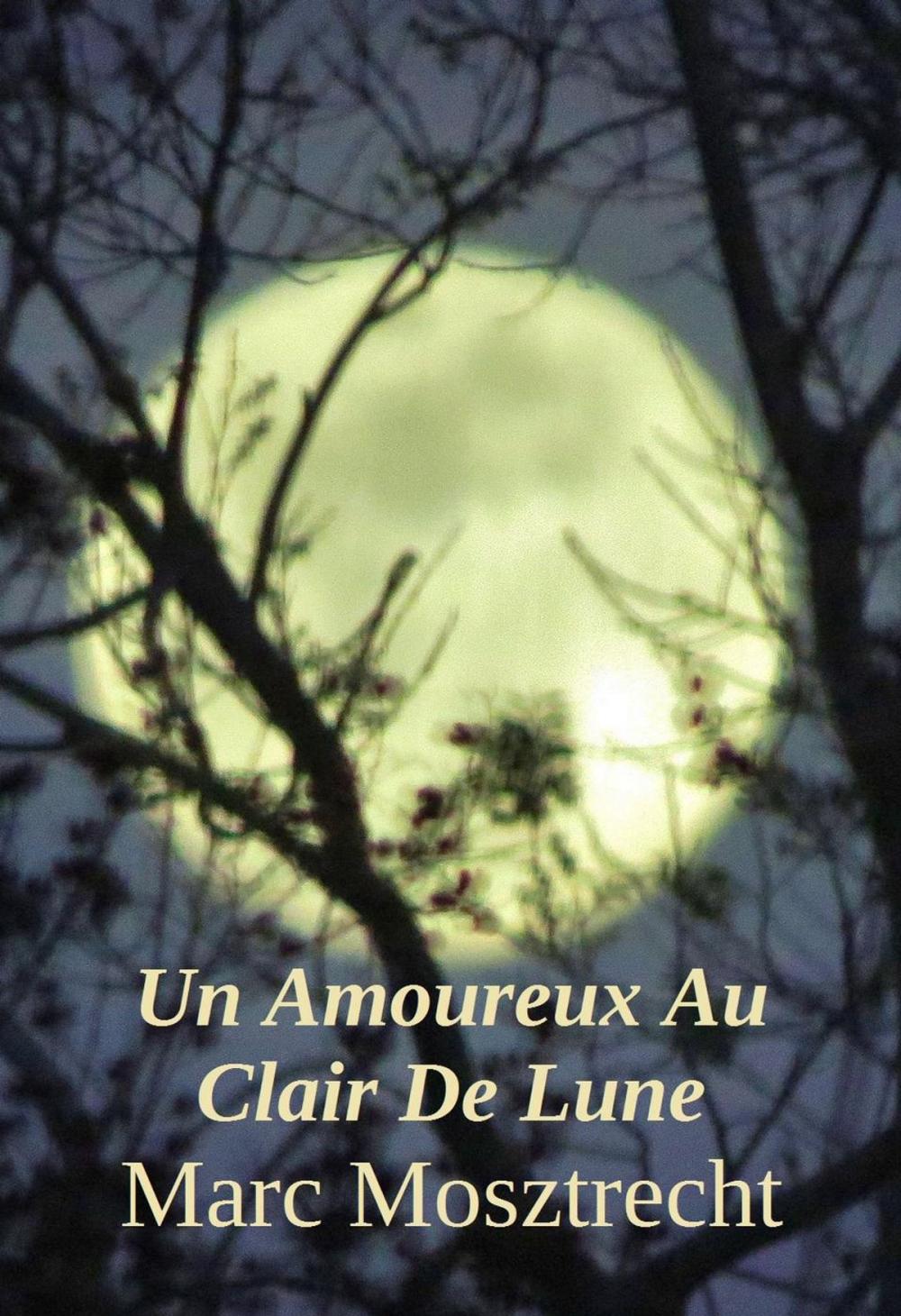 Big bigCover of Un Amoureux Au Clair De Lune